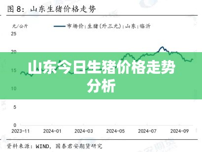 资料大全 第3页