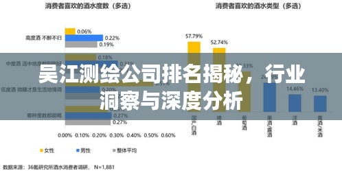 吴江测绘公司排名揭秘，行业洞察与深度分析