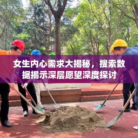 女生内心需求大揭秘，搜索数据揭示深层愿望深度探讨