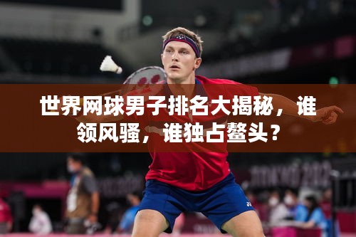世界网球男子排名大揭秘，谁领风骚，谁独占鳌头？