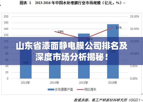 山东省漆面静电膜公司排名及深度市场分析揭秘！