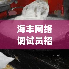 海丰网络调试员招聘启事，最新职位信息速递